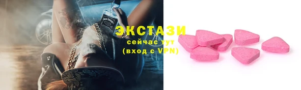 СК Алексин